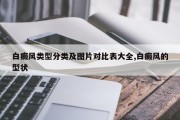 白癜风类型分类及图片对比表大全,白癜风的型状